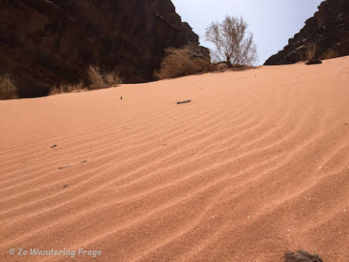 Jordan Desert Wadi Rum Desert // Sand Ripples