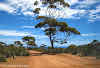 Perfect outback picture on Kangaroo Island