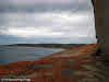 Orange lichen on Remarkable Rocks