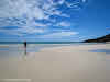 Bruno walking on Stokes Bay beach