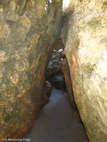 Playing hide and seek among Stokes Bay rocks