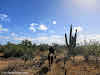 Horseback riding through cacti
