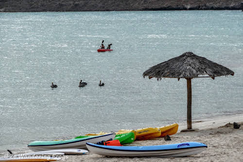 Things to Do in La Paz Mexico: Kayaking in Balandra Beach