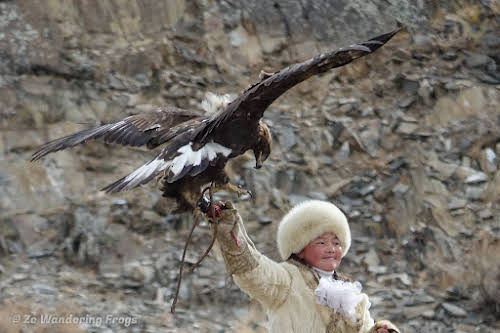 Mongolia. Golden Eagle Festival Olgii. Aisholpan with her eagle.