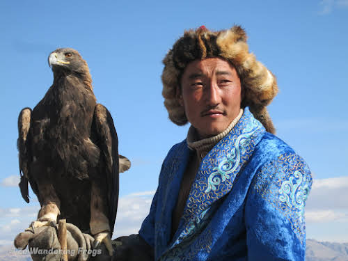 Mongolia. Golden Eagle Festival Olgii. Eagle eyes, Eagle Eyes