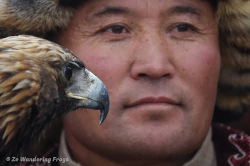Mongolia. Golden Eagle Festival Olgii. Kazakh Hunter and Golden Eagle