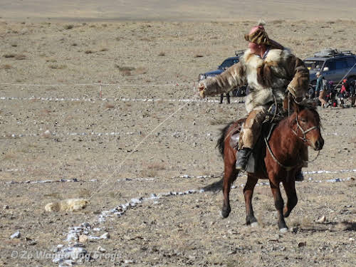 Mongolia. Golden Eagle Festival Olgii. Shyrga Tartu - Lure Grabbing