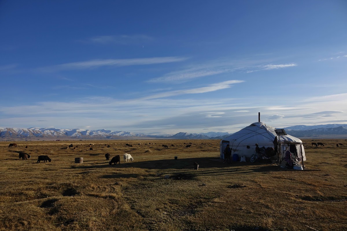 nomad travel mongolia