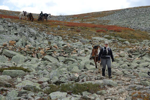 Patricia leading her horse over the steep and rocky slope