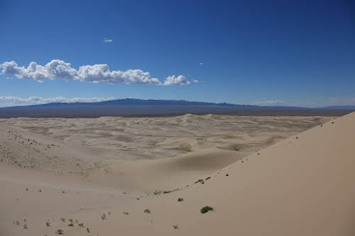 View of the Khongoryn Els Sand Dunes