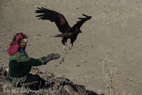 Olgii, the Doorway to the Altai Mountains and Mongolia Kazakh Eagle Hunters // Golden Eagle Festival