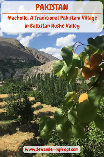 Pakistan Machollo Traditional Village Baltistan Hushe Valley // Apricots and Wheat Fields Pinterest
