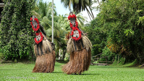 Papua. New Guinea East Sepik River Clans Crocodile Traditions. Kanganamun -Dance Tambaran Masks