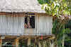 Papua. New Guinea East Sepik River Clans Crocodile Traditions. Kids in a pilotis house.