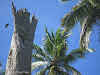 Papua. New Guinea East Sepik River Clans Crocodile Traditions. Remaining pole of a burn-down spirit house