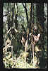 Papua. Tribes Baliem Valley Time Travel. Papua hunters with bows and arrows