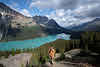 Plan Your Trip to Banff: Things to Do in Summer with Itinerary // Peyto Lake Hiking