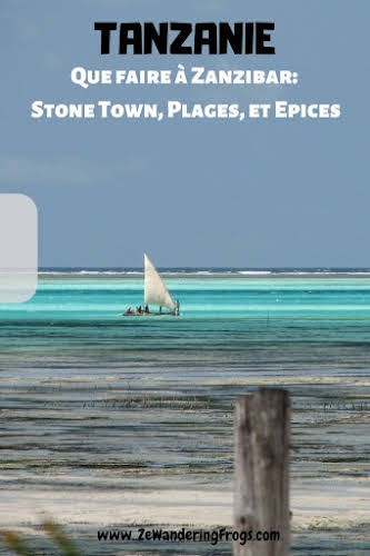 Que faire à Zanzibar Tanzanie: Stone Town, Plages, et Epices // Bateau a Jambiani