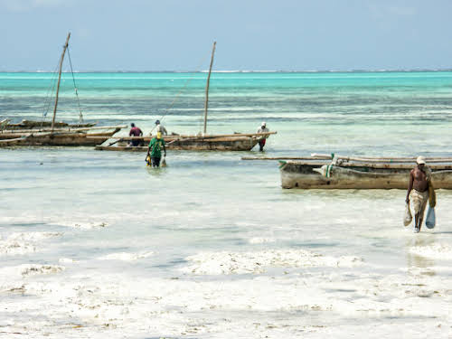 Que faire à Zanzibar Tanzanie: Stone Town, Plages, et Epices // Bateaux de pêche traditionnels à Jambiani