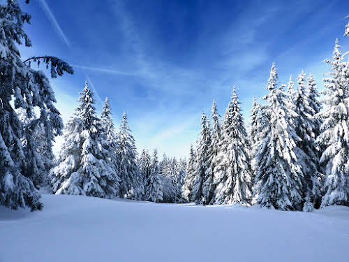 Quel sport de neige et station de ski cet hiver Tous les sports hiver hors ski alpin // Vosges
