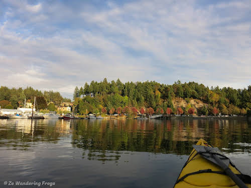 San Juan Islands Things to Do and Itinerary during your Washington State trip // Kayaking San Juan Islands