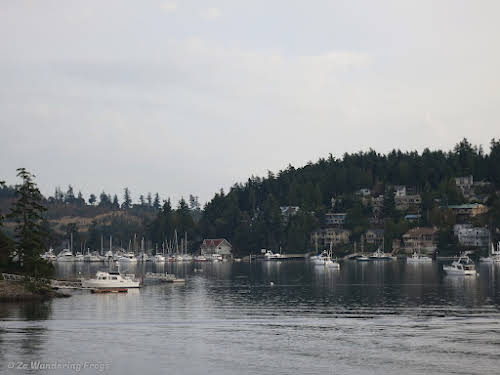 San Juan Islands Things to Do and Itinerary during your Washington State trip // Small Marina on San Juan Island