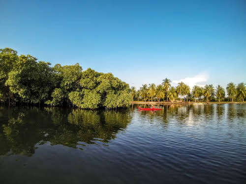 Sri. Lanka Kalpitiya Valampuri Resort. Kayaking through the Kalpitiya Lagoon mangroves
