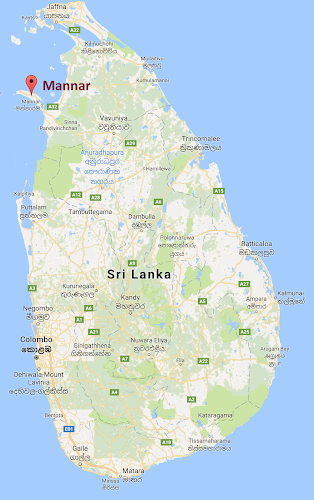 Sri. Lanka Mannar Kiteboarding. Mannar Sri Lanka