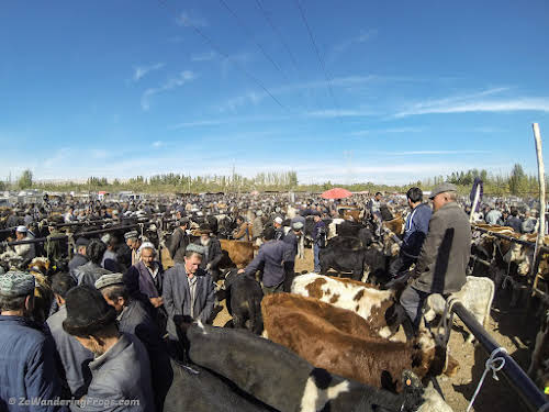 Sur la Route de La Soie Kashgar Chine // Marche aux bestiaux de Kashgar