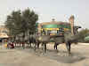 Sur la Route de La Soie Kashgar Chine // Statues symbolisant la route de la soie