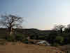 Terrains de chasse avec baobab et rivière