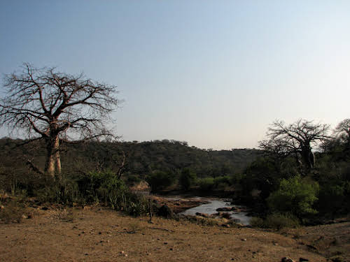 Terrains de chasse avec baobab et rivière
