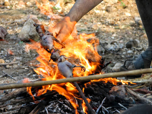 Oiseaux de cuisson sur le feu