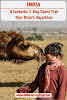 Thar Desert Camel Trekking Day 3