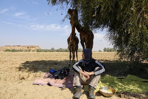 Thar. Desert Camel Trekking Day 3. Enjoying lunch and shade in the Thar Desert
