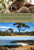 The Perfect 3-Day Itinerary Kangaroo Island Tour: What to Do and What to See // Koala Beach Outback Collage