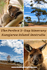 The Perfect 3-Day Itinerary Kangaroo Island Tour: What to Do and What to See // Koala Outback Lighthouse Kangaroo Collage