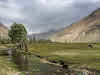 Pakistan Culture of the Kalash Valley Pakistan // Stormy afternoon in Gulag Muli Village