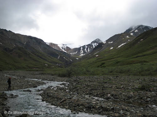 Things to Do in Denali National Park Alaska // denali national park ranger-guided hike in the wilderness