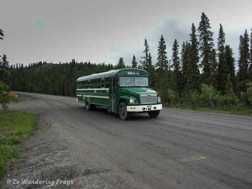 Things to Do in Denali National Park Alaska // denali national park shuttle