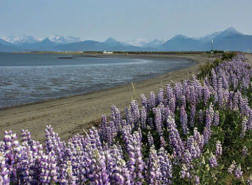 Things to Do in Kenai Alaska // Homer Spit