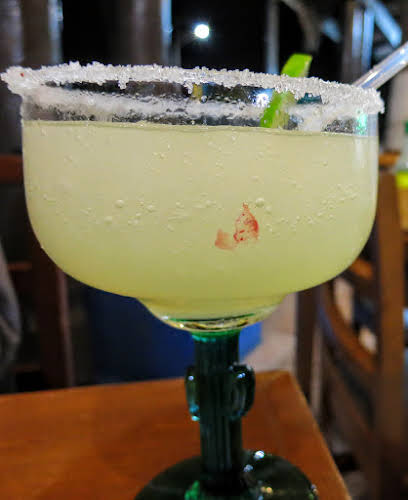 Things to Do in La Paz Mexico // Margarita Time