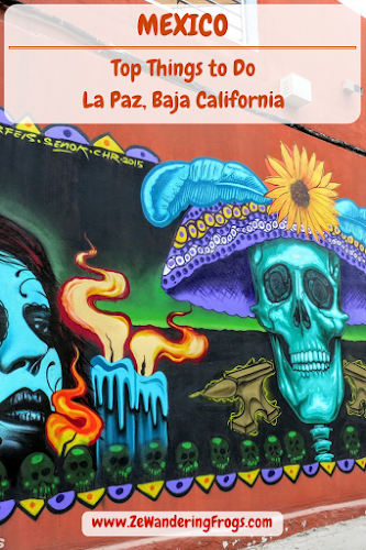 Things to Do in La Paz Mexico // Street Art