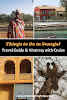 Things to Do in Senegal Travel Guide & Itinerary with Cruise // Wildlife Shepherd Architecture Pinterest