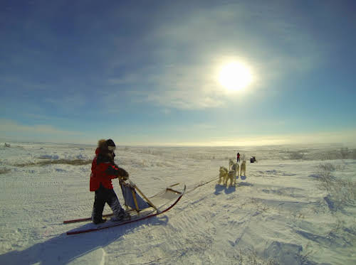 Things to Know about Canada: Travel Tips & Itinerary Suggestions // Dog sledding in the Arctic