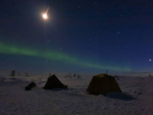 Top Winter Arctic Adventures // Northern Lights