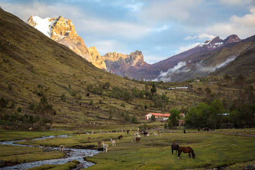 Trekking in Peru // Lares Trek