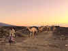 Treks Mountains in Africa // Ethiopia Erta Ale Volcano Danakil Depression Camels 197TravelStamps