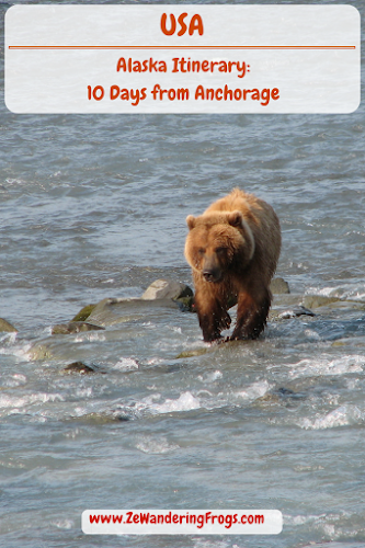 #Alaska #Itinerary 10 Days // Grizzly Bear in Valdez