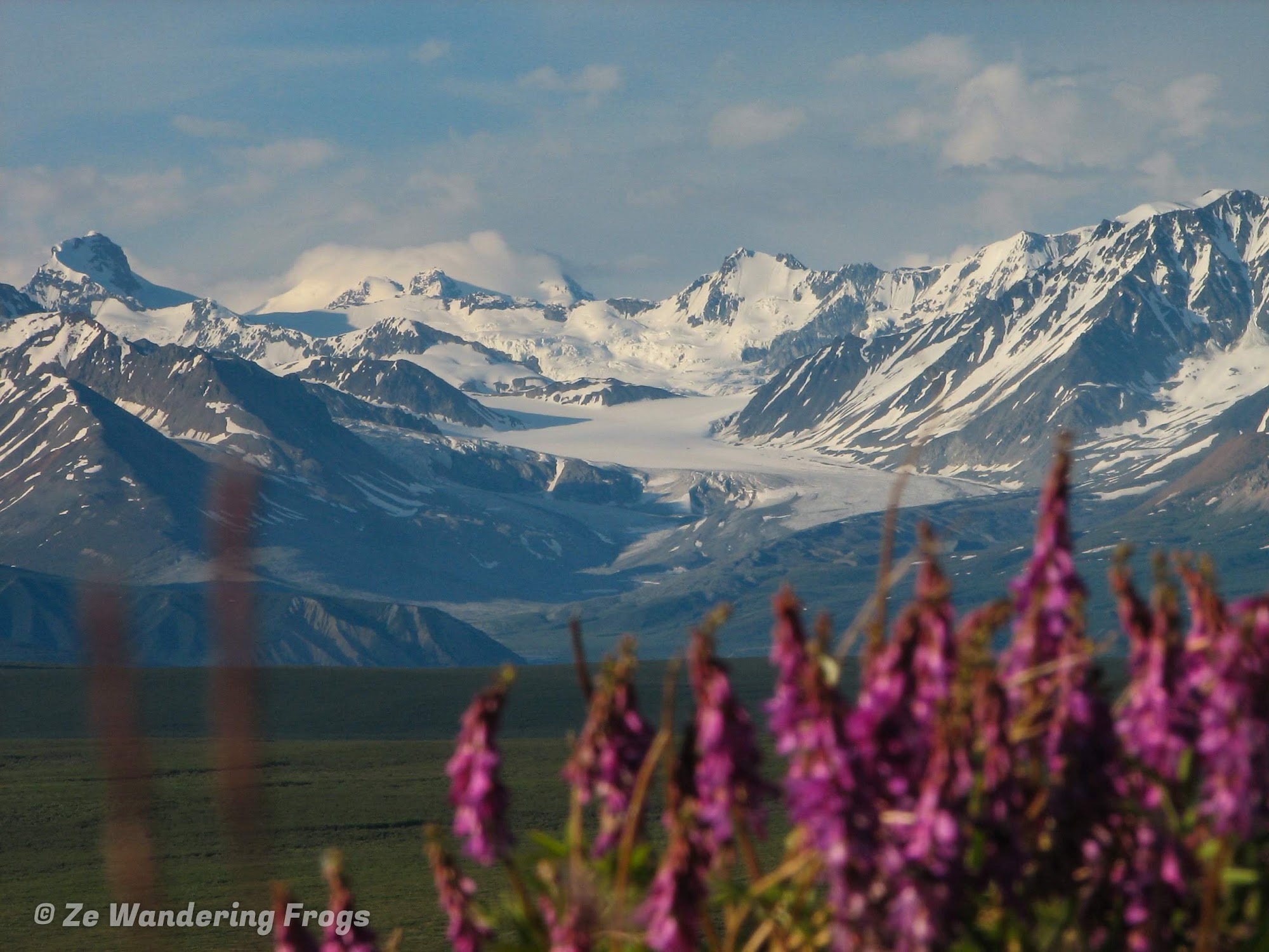 Denali National Park & Preserve travel - Lonely Planet